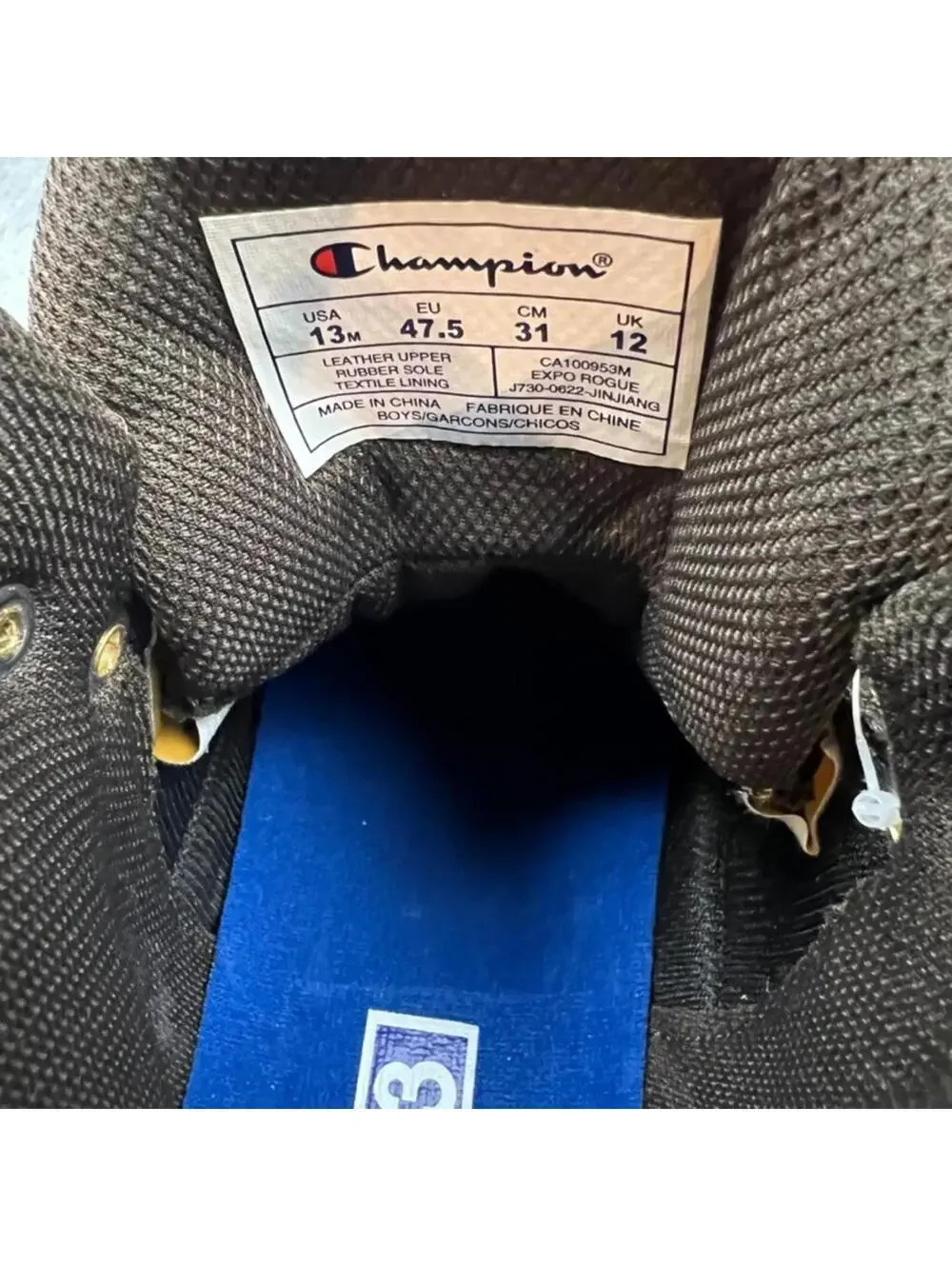 Champion expo rogue